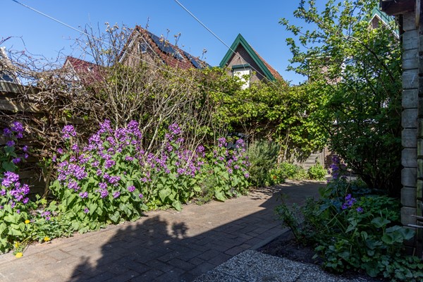 Tuin 1.jpg